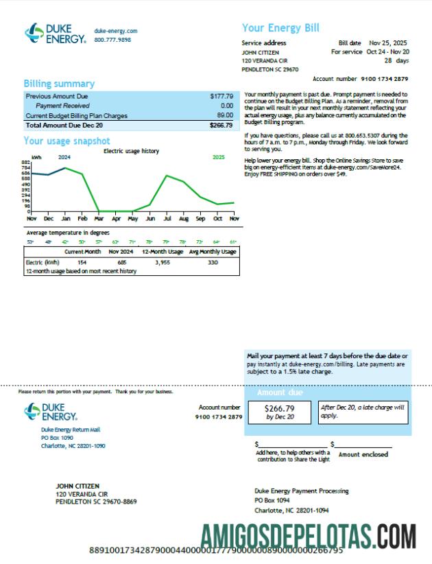 Em branco modelo de conta de serviços públicos Duke Energy dos EUA em formatos Word e PDF, versão 6